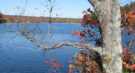 Scenic water view