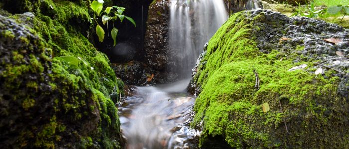 waterfall with moss covered rocks